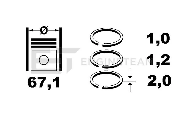 Купити 9507900 NE/NPR Кільця поршневі на 1 циліндр, STD.