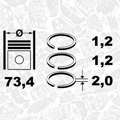 Купити 793556001 SM Кільця поршневі на 1 циліндр, STD.