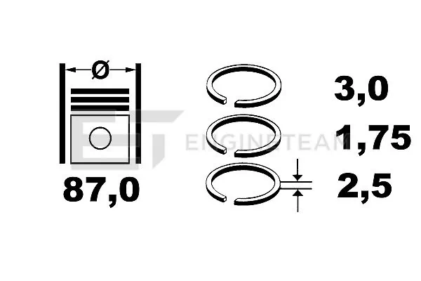 Купити 9384900 NE/NPR Кільця поршневі на 1 циліндр, STD.