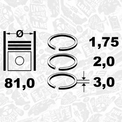 R1009100 ET Engineteam Кільця поршневі на 1 циліндр, STD.