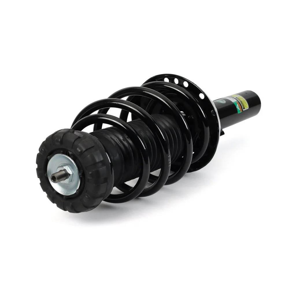 Купити SK3393 Arnott 