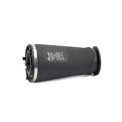 Пневморессора задня Arnott A2610 ціна, від 129.70 USD