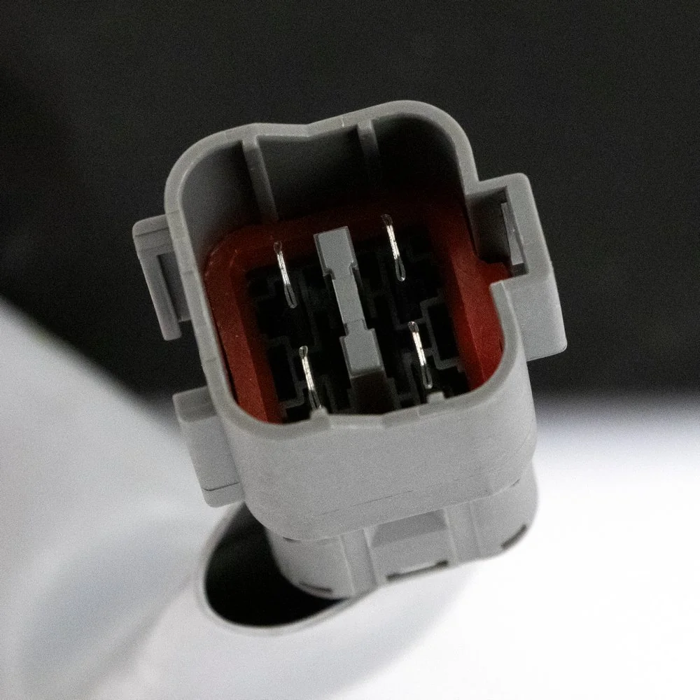  P3177 Arnott