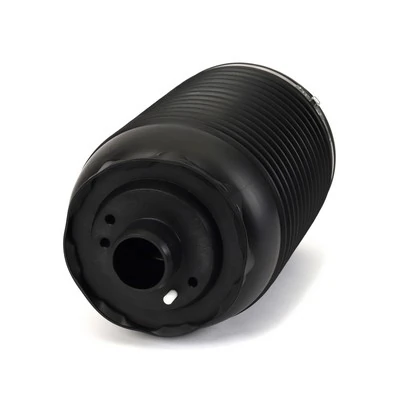 Пневморессора задня Arnott A3892 ціна, від 300.09 USD