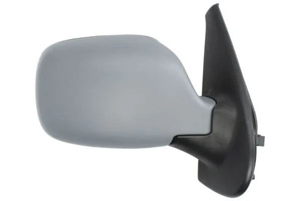 8200253494 Nissan/Infiniti Праве дзеркало заднього виду