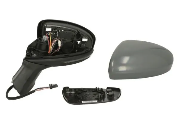 963060543R Renault (RVI) Дзеркало заднього виду, ліве