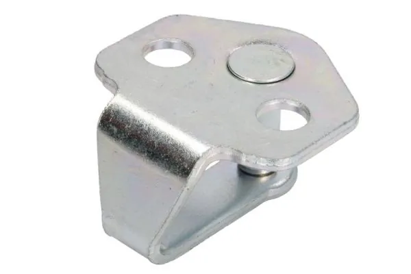 FSE11322004 Fase Петля-зачіп (відповідна частина) замка двері передньої