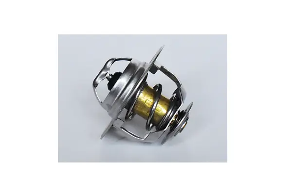  Термостат Iveco Daily 