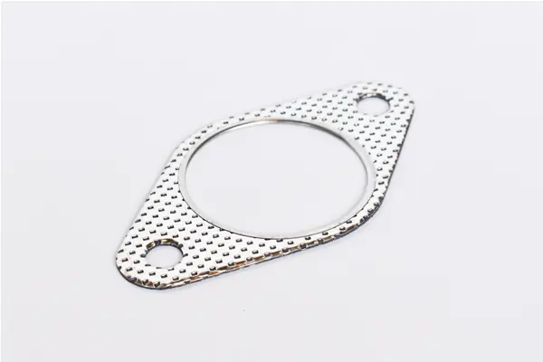 Прокладка штанів на Ford Focus I DNW