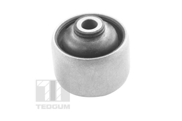 463116 Ted-gum 