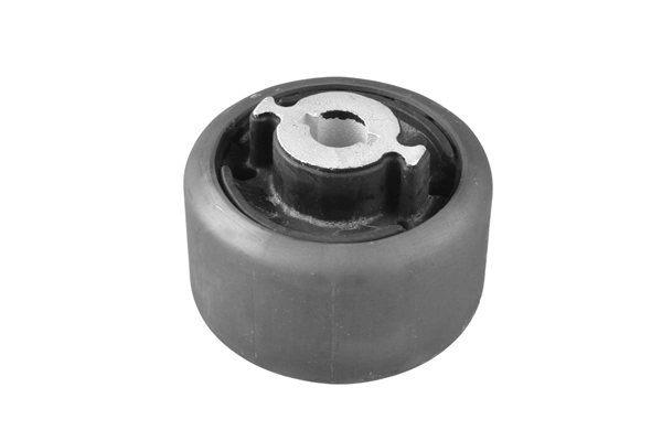 Сайлентблок переднього нижнього важеля на Ford Focus IV HN