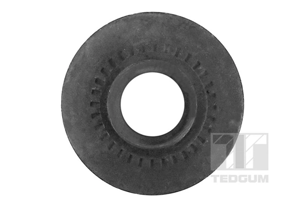 Серьга задньої ресори Ted-gum 00221952 ціна, від 8.89 USD