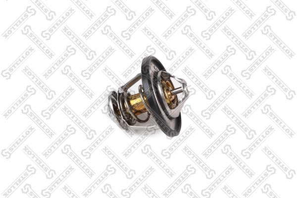Купити 4138769 Iveco Термостат в корпусі