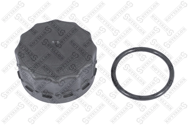 Купити 1685352 DAF Кришка розширювального бачка