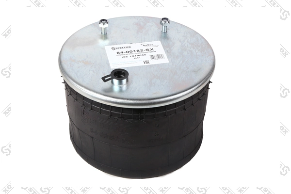 Пневморессора задня Blacktech RML7947C10 ціна, від 74.68 USD