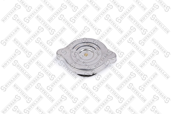 Пробка радіатора Mercedes G 