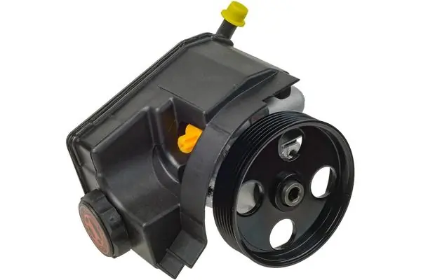 Купити RG0132 Raiso Насос гідравліки