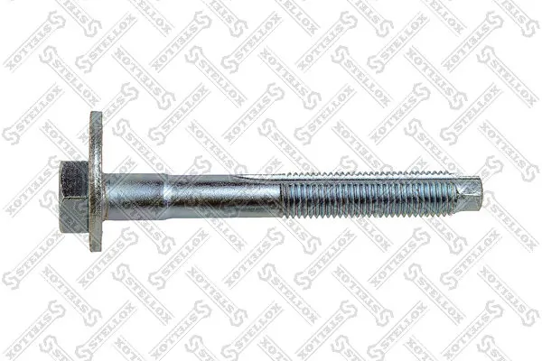 FZ91941 Fortune Line Болт кріплення заднього верхнього важеля, зовнішній