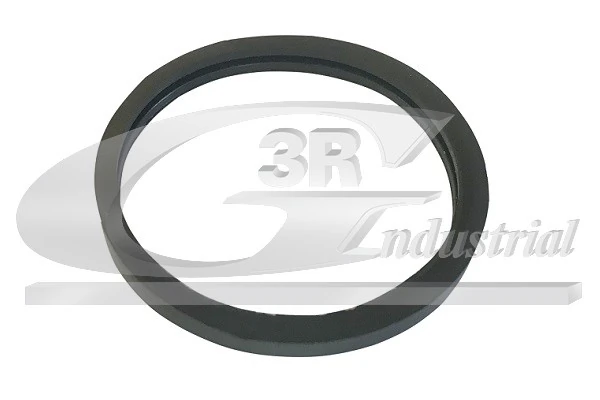 Купити Прокладка термостата Renault Scenic II JM0, JM1