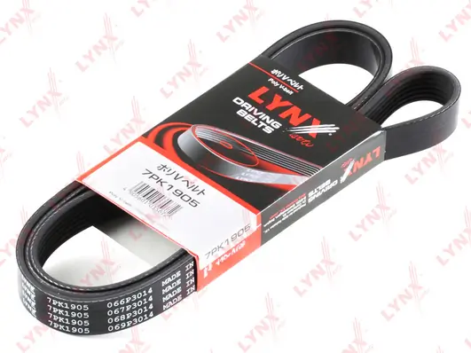 Ремінь генератора 7PK1905 Black Belt