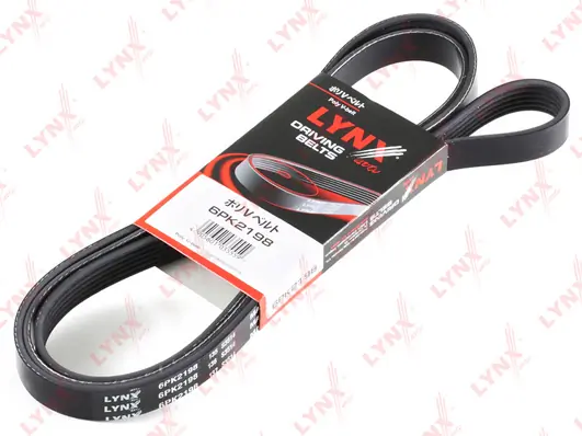 6K866AP Roadmax Поліклиновий ремінь