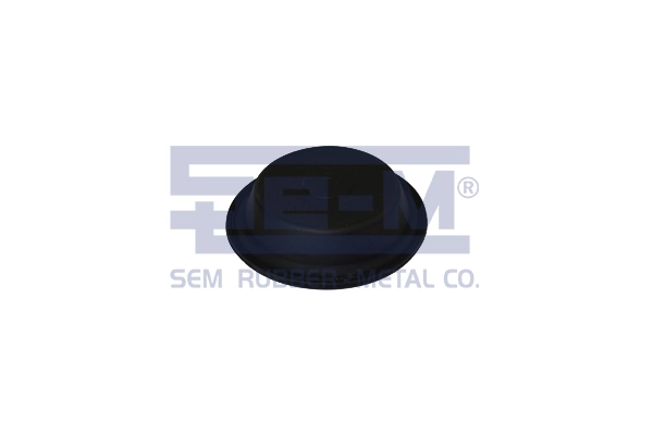 Купити 0689366 DAF Мембрана гальмівної камери