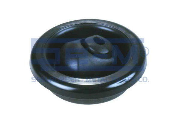Купити 1202188 STR Пильник куліси перемикання передач
