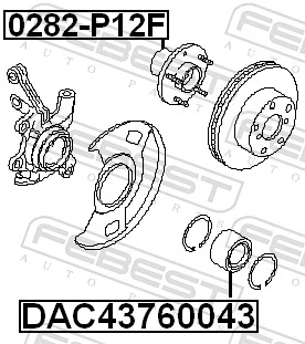 0282P12F Febest Маточина (передня)