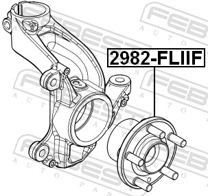 2982FLIIF Febest Маточина (передня)