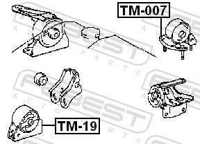 TM007 Febest Задня подушка двигуна