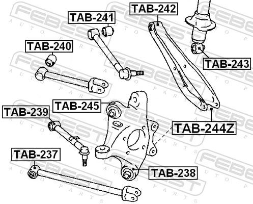TAB244Z Febest Сайлентблок задньої підвіски