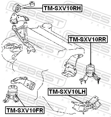 TMSXV10RH Febest Права подушка мотора