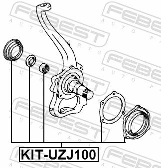 KITUZJ100 Febest Втулка переднього поворотного кулака (цапфи)