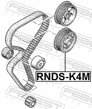 RNDSK4M Febest Зірка-шестерня розподільного валу двигуна, впускного
