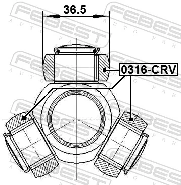 0316CRV Febest Трипоїд