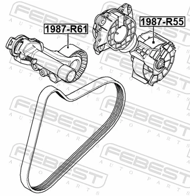 1987R61 Febest Ролик натяжителя ременя агрегатів