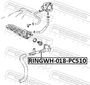 RINGWH018PCS10 Febest Ущільнююче кільце системи охолодження