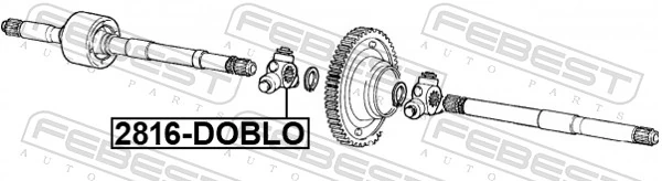 2816DOBLO Febest Трипоїд