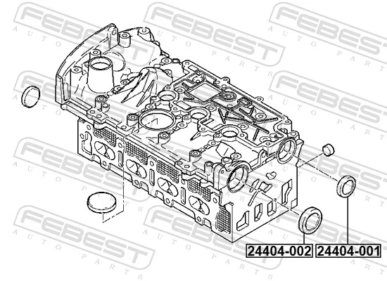 Заглушка головки блока на Renault Kangoo I FC0, FC1