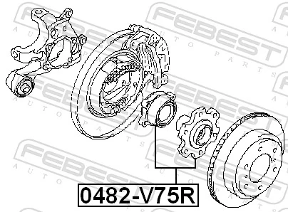 0482V75R Febest Маточина задня