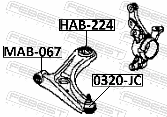 HAB224 Febest Сайлентблок переднього нижнього важеля