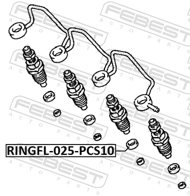 RINGFL025PCS10 Febest Кільце інжектора
