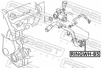 RINGWHB5 Febest Ущільнююче кільце системи охолодження