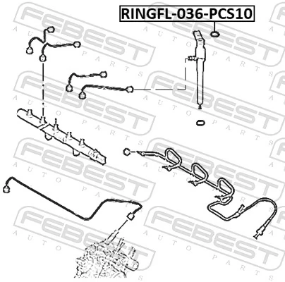 RINGFL036PCS10 Febest Кільце інжектора