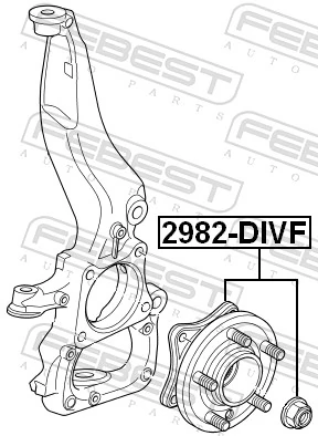 2982DIVF Febest Маточина (передня)
