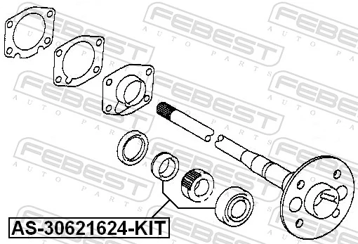 AS30621624KIT Febest Підшипник півосі заднього моста