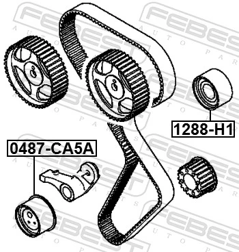 0487CA5A Febest Ролик натягувач