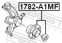 1782A1MF Febest Маточина (передня)