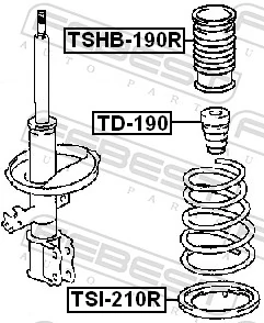 TSHB190R Febest Пильник стійки задньої