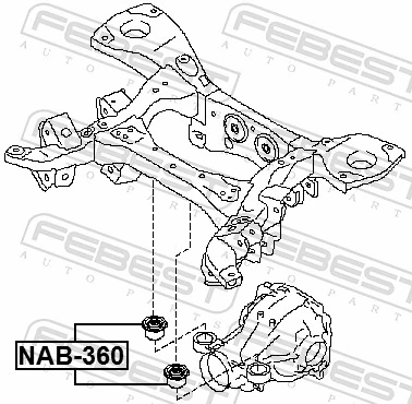 NAB360 Febest 